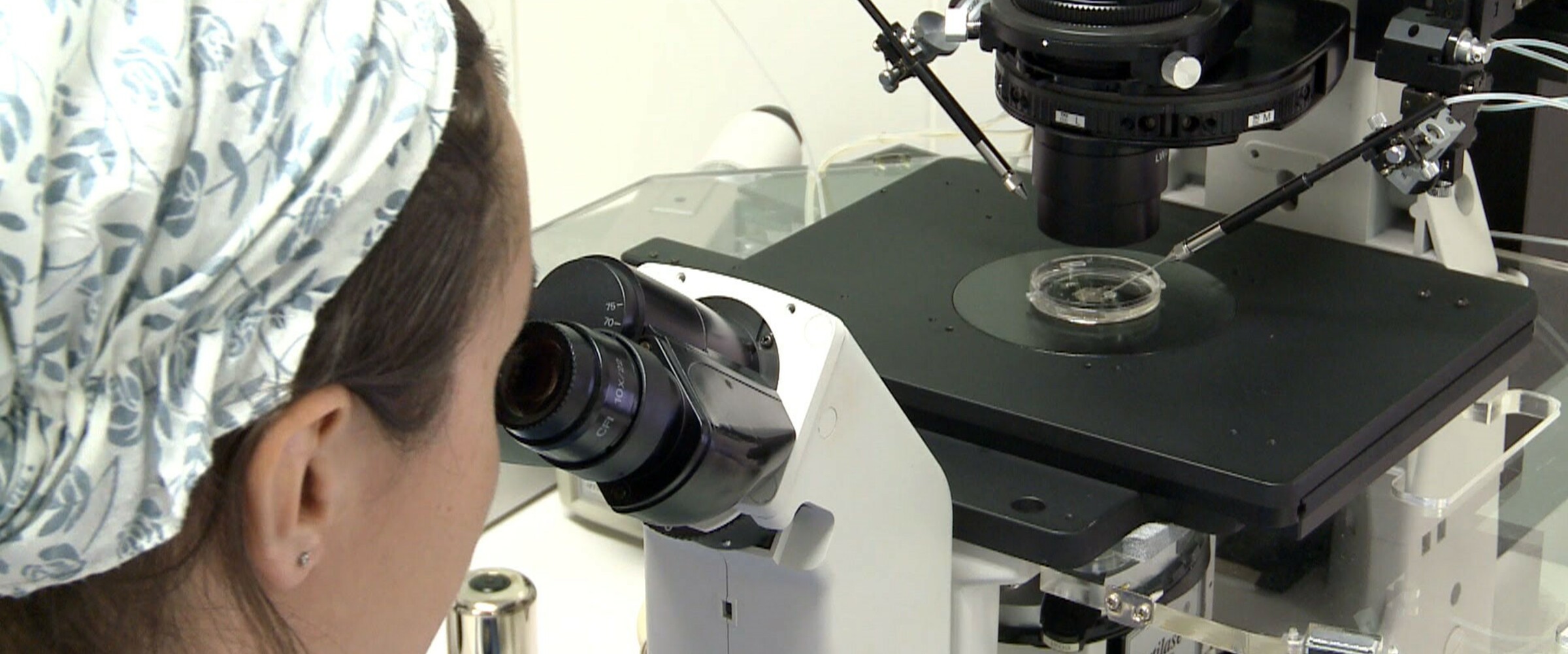 Embryologist using digital high mag 
