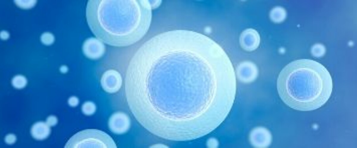 Egg freezing
